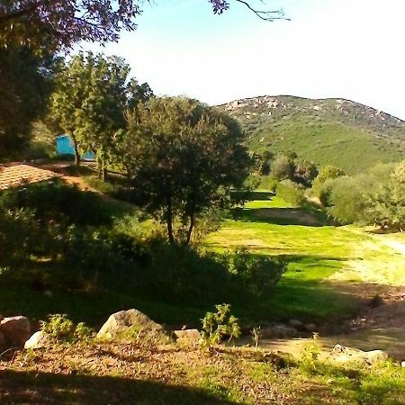 Farm Stay Gli Oleandri Loiri Porto San Paolo Esterno foto