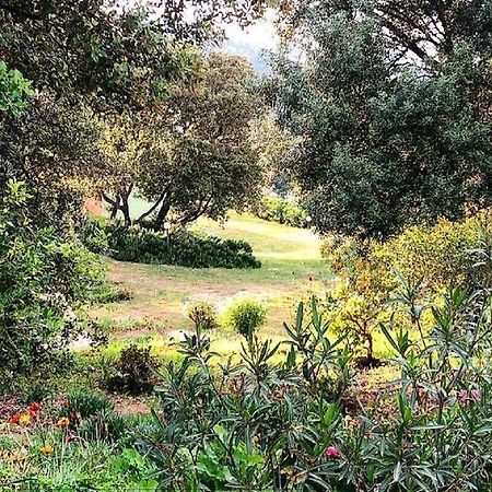 Farm Stay Gli Oleandri Loiri Porto San Paolo Esterno foto