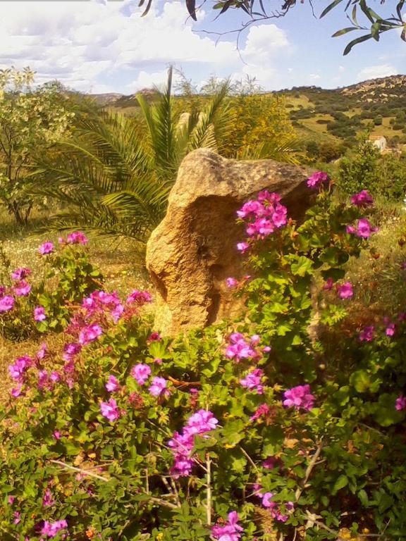 Farm Stay Gli Oleandri Loiri Porto San Paolo Esterno foto