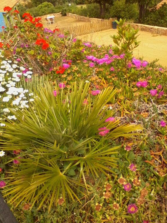 Farm Stay Gli Oleandri Loiri Porto San Paolo Esterno foto