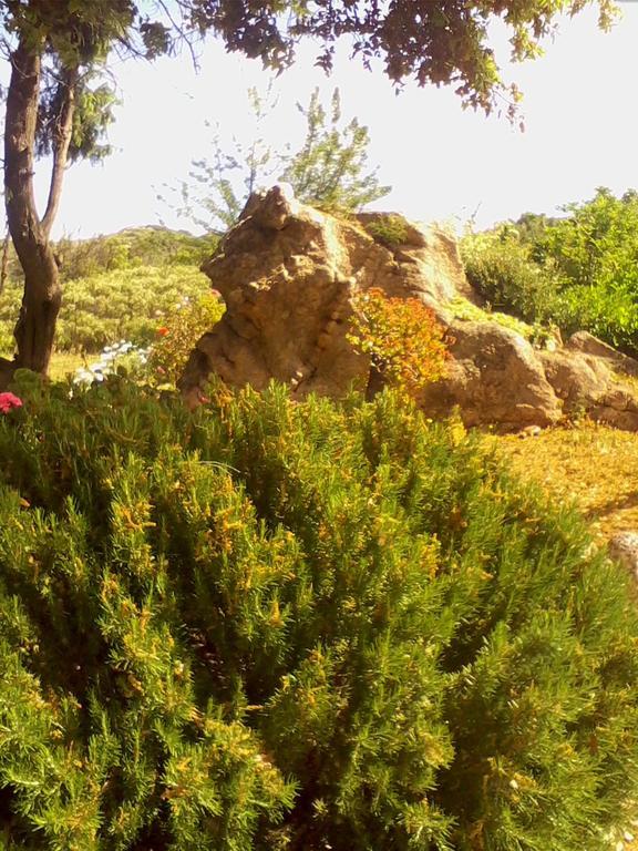 Farm Stay Gli Oleandri Loiri Porto San Paolo Esterno foto
