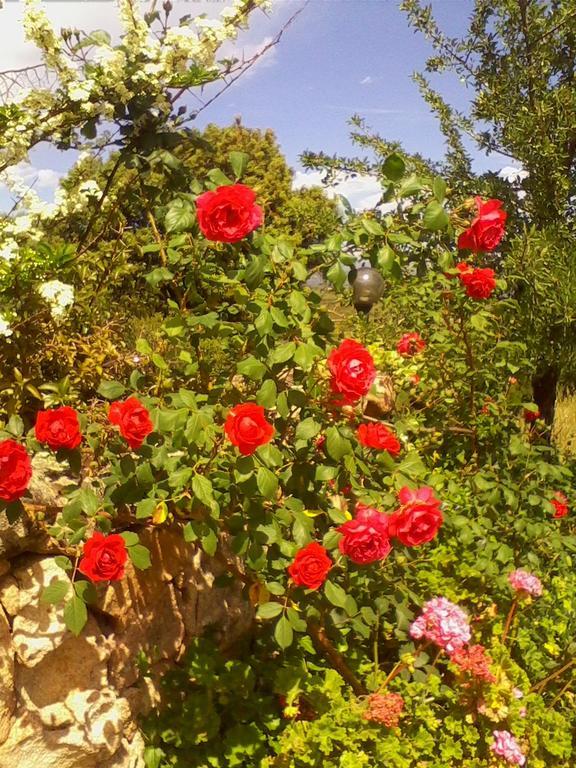 Farm Stay Gli Oleandri Loiri Porto San Paolo Esterno foto