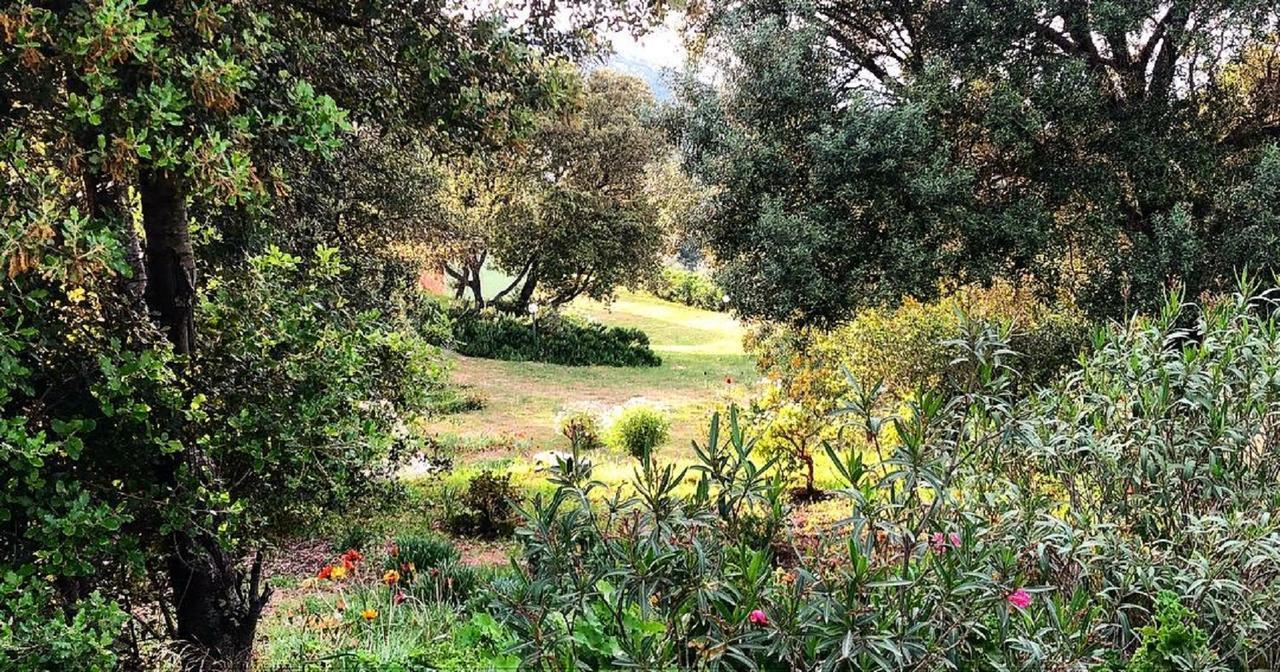 Farm Stay Gli Oleandri Loiri Porto San Paolo Esterno foto