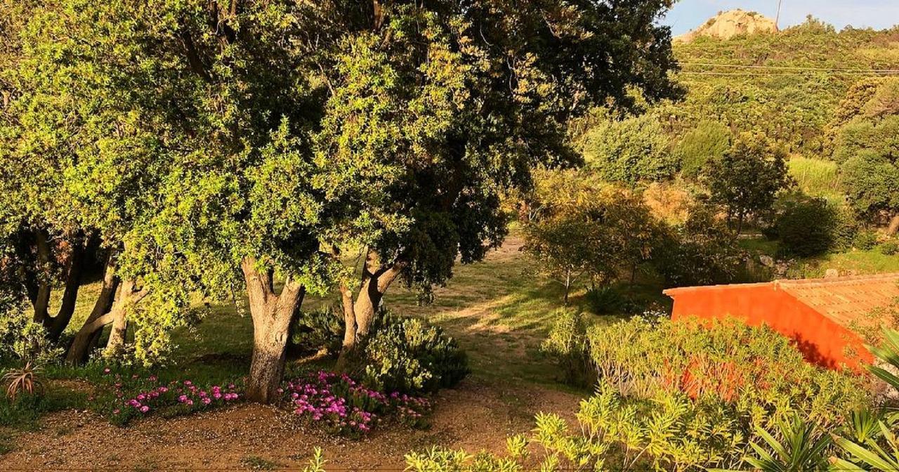 Farm Stay Gli Oleandri Loiri Porto San Paolo Esterno foto