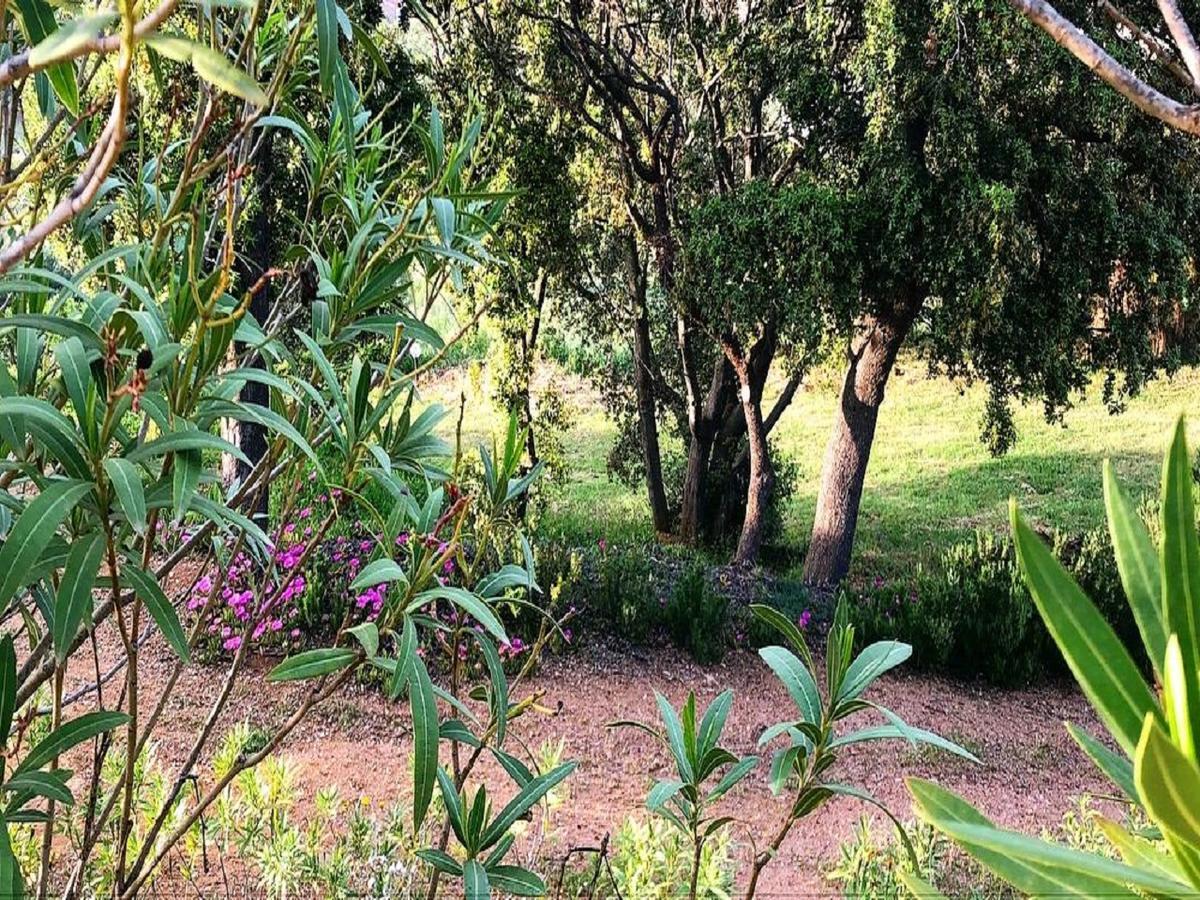 Farm Stay Gli Oleandri Loiri Porto San Paolo Esterno foto