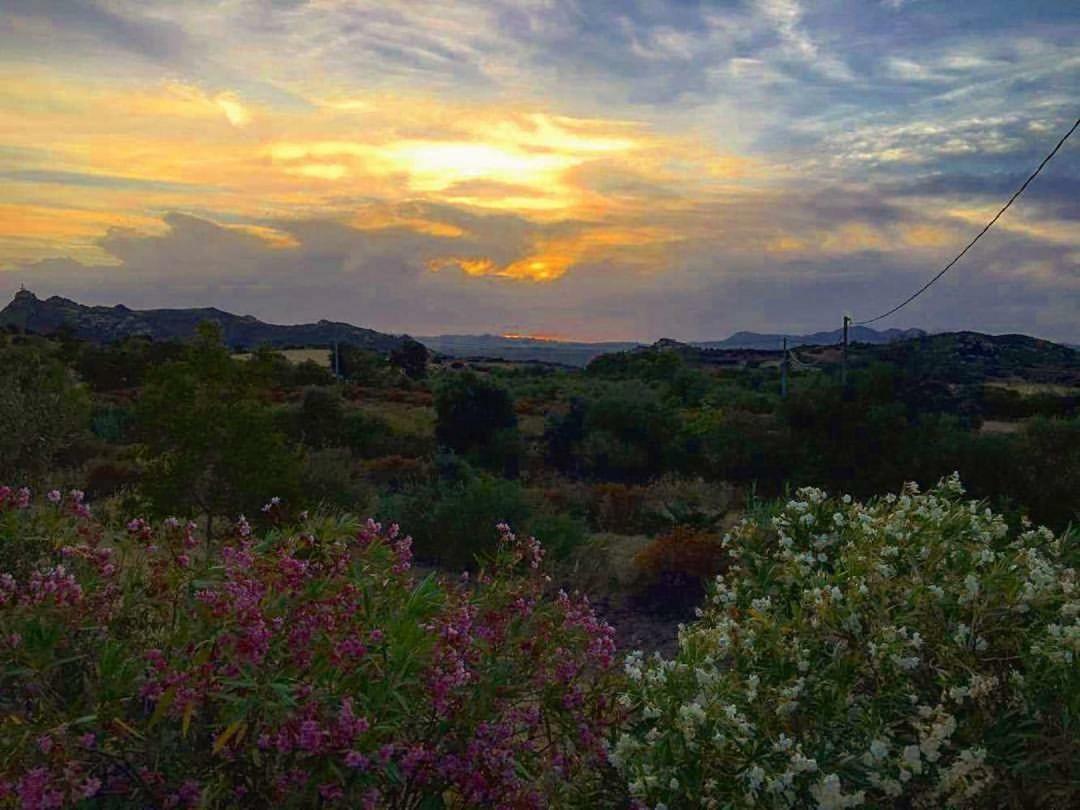 Farm Stay Gli Oleandri Loiri Porto San Paolo Esterno foto
